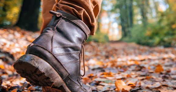 kettle moraine state forest promo image