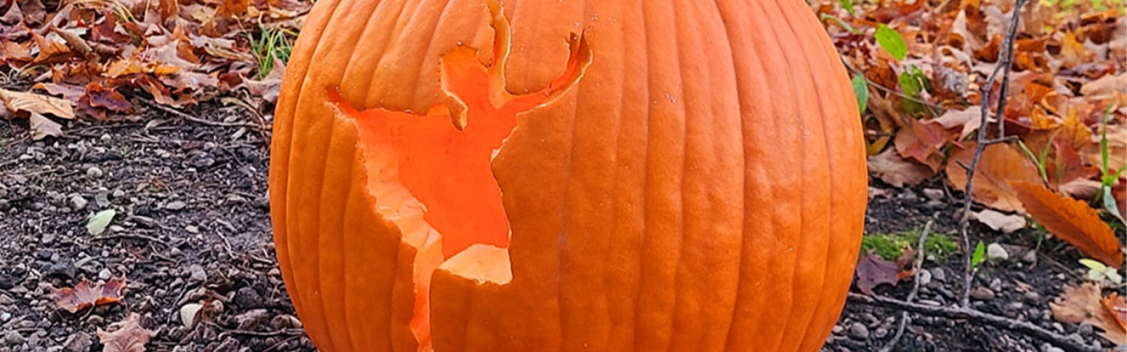 pumpkin walk header