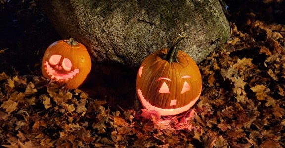 cropped pumpkin walk