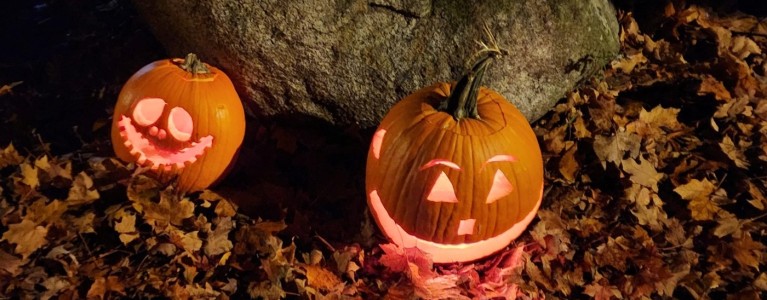 cropped pumpkin walk