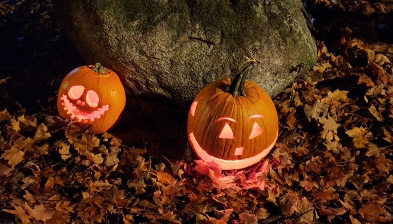 cropped pumpkin walk